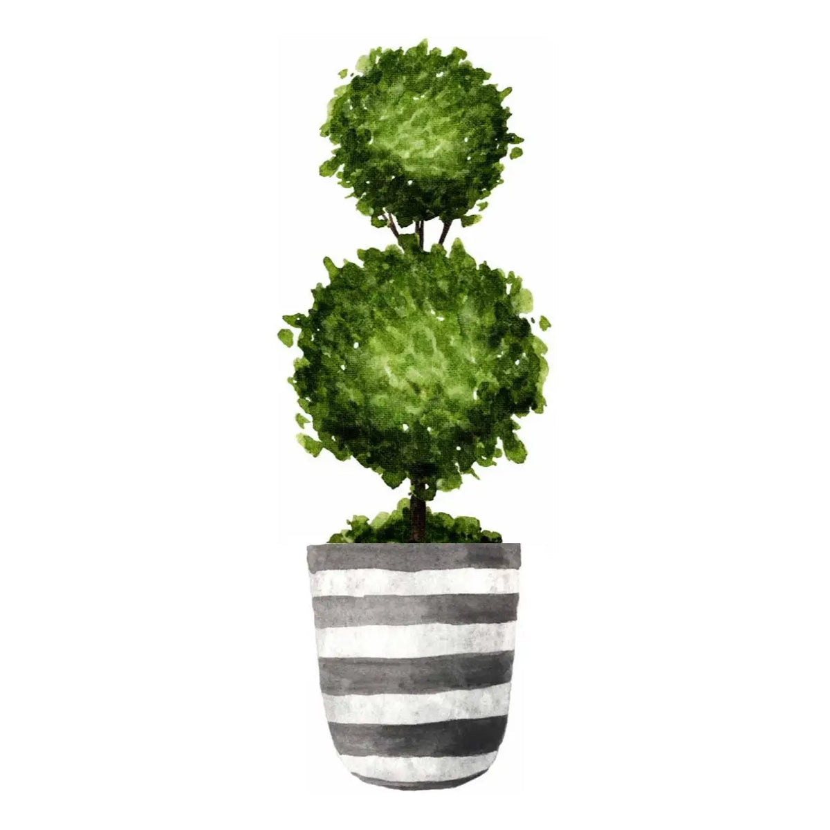 Preppy Topiary Guest Paper Towels | Grandmillennial Guest Paper Towels